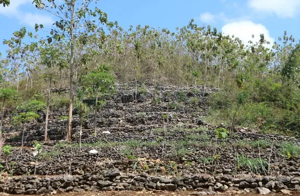 Karst Gunungkidul: Keajaiban Geologi dan Warisan Air