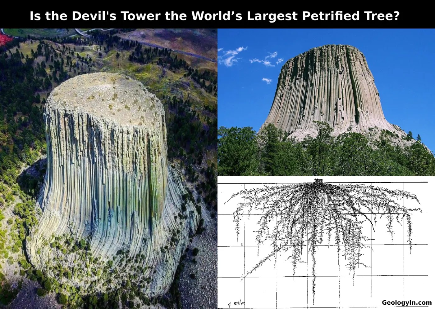 Apakah Devils Tower Merupakan Sisa Fossil Pohon Purba Raksasa?